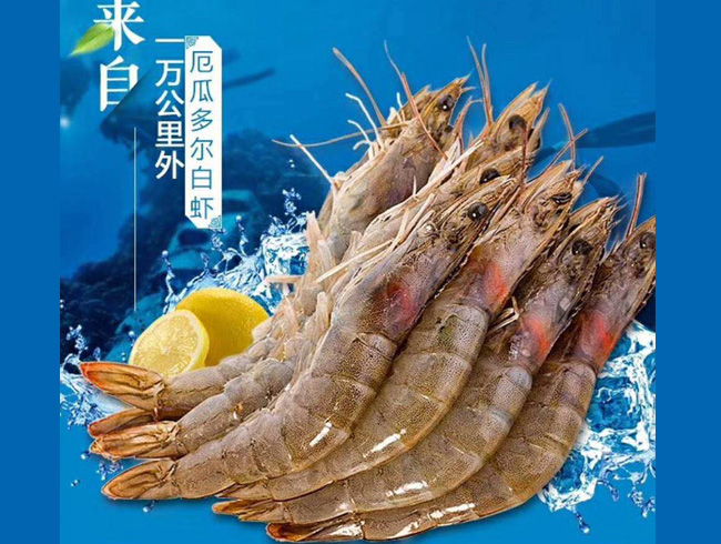 Ecuadorian white shrimp