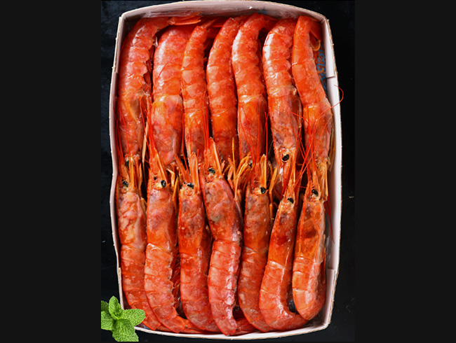 Argentine Red Shrimp