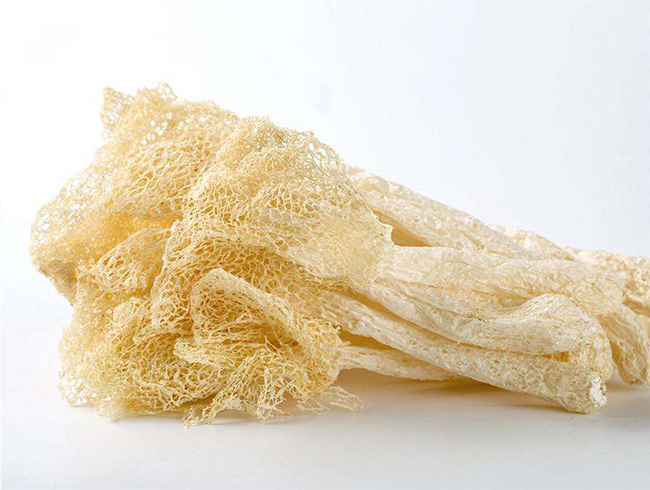 Bamboo fungus