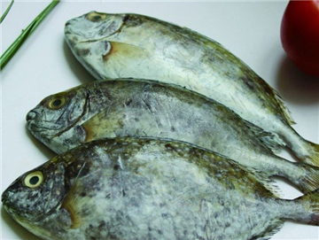 冰鮮泥猛魚(yú)