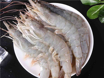 Ecuadorian white shrimp