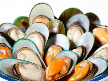 New Zealand half-shell mussels